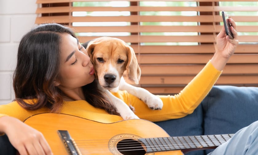 AA Pet Insurance to offer expert advice with new partnership